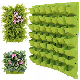  Wall Hanging Flower Pot Wall Mounted Grow Bags for Plants That You Want to Planting