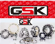  Gskoolmotorcycle Spare Part Wheel Bearing 6000 6002 6004 6200 6204 6301 6302 6400 6402 Zz 2RS Deep Groove Ball Bearing for Electrical Motor, Fan, Skateboard