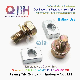 Qbh Customized Non-Standard Metal Carbon Stainless Steel Motorcycle Motorbike Motor Autocycle Battery Nuts Bolts