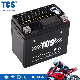 TCS Sealed Maintenance Free SLA Motorcycle Agm Vrla Lead Acid Battery YT5L-BS