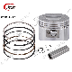  Motorcycle Parts Motorcycle Piston Set C110 CD110 Ws110 Forza110 Piston Kit