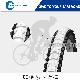 Euro Standard Bicycle Parts, Bicycle Tyre Factory Supply (8" 10" 12" 14" 16" 18" 20" 22" 24" 26" 28" 29")
