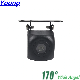 Ahd 1080P 170 Degre Mccd Fisheye Lens Starlight Night Vision Vehicle Rear View Car Camera