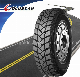  China Wholesale Radial Truck Tyre, Bus Tyre, TBR Tyre, Car Tyres, Passenger Car Tyre, OTR Tyre