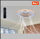 Hisoon Lighting Fashion Design Bright Cool Home Decorative LED Ceiling Fan Light