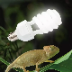 5.0 10.0 15.0 Terrarium Lamp 13W 26W Energy-Saving UVB Bulb Pet Supplies for Reptile Turtle