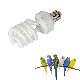  Pet Supplies Animal CFL Spiral Compact Fluorescent Lamp Reptile UVB 15.0 Day Bulb for Lizard 26W
