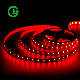  3years Warranty LED Light Strip SMD5050 Rgbww 60LED DC24 for Lighting Decoration