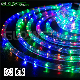 IP65 ETL UL Approval 120V LED Rope Light for Christmas Decoration