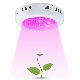 UFO 135W 300W Double Chips LED Grow Light