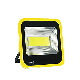 Outdoor Tree IP65 CE RoHS Long Range LED Flood Light