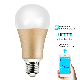 New Product Saving Energy-Lamp RGB+CCT Color Controller Smart LED Bulb Light WiFi Work with Alexa Google Assistant