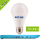 LED Bulb Distributor 5W 7W 9W 12W 15W 18W E27 B22 3000K 4000K 6000K with Ce Approved LED Light Factory