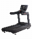  Luxury Gym Use Wholesale Commercial Treadmill (RCT-900)