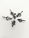  3 Fixed 100 Gn and 125 Gn Broadheads