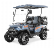 Tao Motor New Design Car 4 Seater 48V 5000W Electric Golf Cart