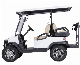  New Design Buggy Golf Hunting Car Electric Golf Cart