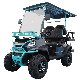 New Arrival Style B3.0 Luxury Seat Club Cart Electric Golf Buggy Hunting Car with CE DOT