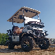 MMC New Lifted 48V Electric Golf Carts 2 Person Seats White off Road Golf Scooter 4 Wheel Lithium 4 Seat Solar Golf Cart