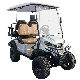  New Arriveal 2022 Style D for Exclusive Partner New Design Wh2040K-D Factory 2 Seat Sightseeing Bus Club Cart Electric Golf Buggy Hunting Cart with CE DOT