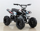 Upbeat Brand 350W Quad Electric ATV Electric Mini ATV for Kids High Quality Quad