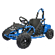  1000W Go Kart with Electric Motor