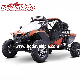  Big Power 1500cc Buggy Cart with Shaft Drive