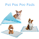  60PCS Set Pet Training Animal PEE Pad