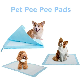 60PCS Set Pet Training Animal PEE Pad