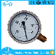  100mm Stainless Steel En837-1 Pressure Gauge Supplier Ce Approved