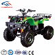 150cc 200cc Gy6 4 Wheel Chain/Shaft Drive Gas Powered Sport Quad Bike ATV