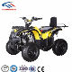  110cc ATV for Kids with Cheap Price