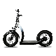 350W Electric Scooter with LCD Display