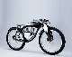 High Quality 2 Wheel Retro 500W Fat Tire Electric Bike with LCD Display