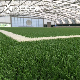  50mm Ce SGS Approved Artificial Turf Football Pitch Soccer Field Professional Synthetic Turf