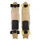  400wx2 Single-Dual Motors Switchable Electric Skateboard