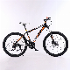 26" Size Suspension Fork, Steel Frame MTB Bikes, Mountain Bicycles China with 21 Speed, Alloy Rims.