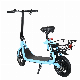  500W Motor Two Wheel Lithium Battery Self-Balancing Electric Scooters with High Quality