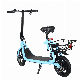 500W Motor Two Wheel Lithium Battery Self-Balancing Electric Scooters with High Quality