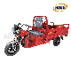 New Design Triciclo Electrico Factory Direct Sale Good Quality 1000W Motor 3 Wheel Motorcycle Vehicle Electric Cargo Tricycle for Sale