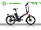  Electric City Folding Bicycle with 36V 250W Motor Warehouse in Europe