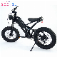 20*4.0 Fat Tire Male Mountain and Commuting Aluminium Frame Electric Bike E-Bicycle Ebike