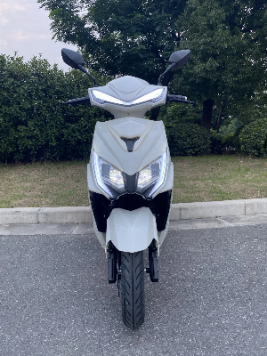 L1e-B EEC Electric Motorcycle with Front Disc Brake and Rear Drum