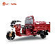 OEM 1300mm Factory Wholesale Three Wheel Trike 60V100W Cargo Electric Tricycle for Farm Deliver with EEC CE