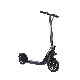  350W Light Folding 2 Wheel Electric Standing Scooter