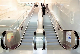 Commercial/Public Use Escalator From Elevator Lift Manufacturer Factory