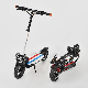 800W Motor of Two Wheel Fat Tire Mini Electric Scooter for Commuting