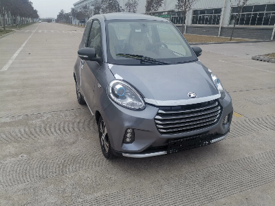 Zd Electric Vehicle with Driving Range 250km, Maxim Speed 105km/H EEC Cetification