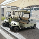 Battery 2 Seat Electric Sightseeing Bus Golf Cargo Car Cart (Lt-A2. H8)