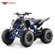  110cc 125cc 140cc 4 Wheeler Gas Quadricycle Quad ATV Bike